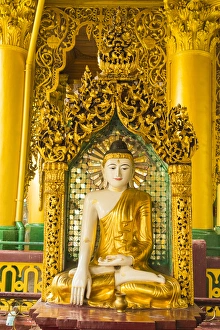 Images Dated 21st November 2014: Myanmar. Yangon. Shwedagon Pagoda. Buddha in an ornate niche