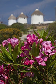 Images Dated 24th May 2010: Mykonos, Greece