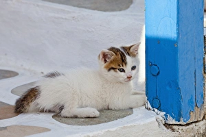 Images Dated 25th May 2010: Mykonos, Greece