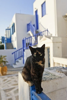 Domestic Prints: Mykonos, Greece. Street scene