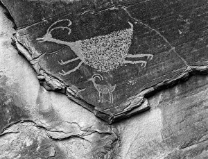 Black And White Prints: Mystery Valley Petroglyph Monument Valley Arizona USA