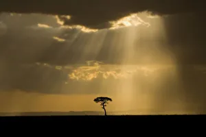 Sun Ray Prints: A mystical sunset
