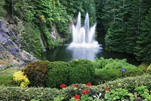Butchart Prints: N. A. Canada, British Columbia, Vancouver Island, Saanich, Butchart Gardens