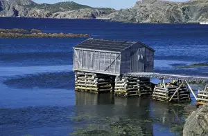 Shack Prints: N. A. Canada, Newfoundland, Durrell. Fishing shack