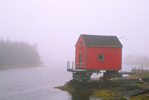Fish Shed Prints: N. A. Canada, Nova Scotia, Stonehurst. Red fishing shed in fog