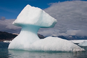 Sound Prints: N. A. USA, Alaska. Icebergs near the Columbia Glacier