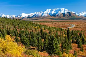 World Prints: N. A. USA, Alaska. Road in Denali National Park and Preserve
