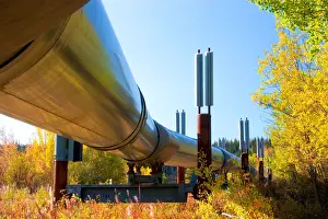 Pipeline Prints: N. A. USA, Alaska. The Trans-Alaska Pipeline which transports oil from Prudhoe Bay