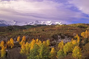 Dallas Divide Prints: N. A. USA, Colorado, San Juan Mts. Dallas divide in Autumn