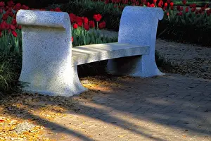 Images Dated 27th July 2004: N. A. USA, Georgia, Savannah. Bench in Orleans Square