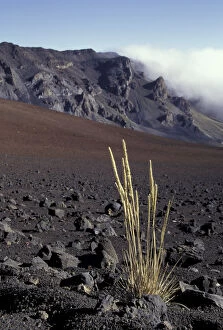 Images Dated 4th November 2003: N. A. USA, Hawaii, Haleakala Nat l Park Clouds rise over edge of crater behind