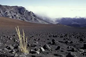 N. A. USA, Hawaii, Maui, Haleakala Nat l Park Mist rises over edge of crater