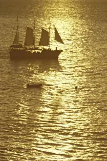 Boating Prints: N. A. USA, Hawaii, Maui Sailboat in golden sea at sunset