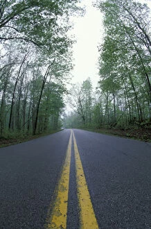Images Dated 16th March 2004: N. A. USA, Kentucky, Daniel Boone National Forest Road through forest in spring