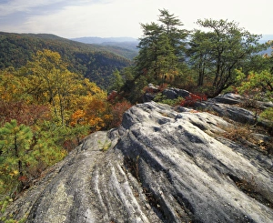 N. A. USA, Kentucky. Pine Mountain State Park. Boulder and autumn colors