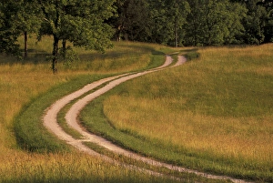 Winding Prints: N. A. USA, Kentucky Road winding through meadow