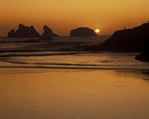 Images Dated 8th June 2004: N. A. USA, Oregon, Bandon Beach State Park. Bandon Beach with mirrored seastack reflections