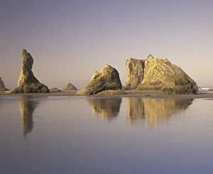 Seastack Prints: N. A. USA, Oregon, Bandon Beach State Park