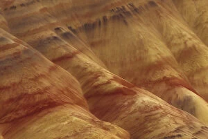 Images Dated 31st March 2004: N. A. USA, Oregon, John Day Fossil Beds National Monument. Painted Hills