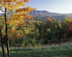 Great Smokey Mountains Prints: N. A. USA, Tennessee. Great Smokey Mountains National Park. Autumn view looking south