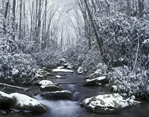 Images Dated 28th January 2010: N. A. USA, Tennessee. Great Smokey Mountains National Park. Cosby creek in winter