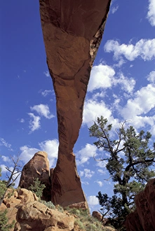 Archway Prints: N. A. USA, Utah, Arches National Park. Landscape Arch