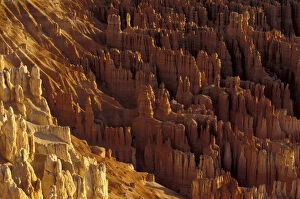 Images Dated 14th April 2004: N. A. USA, Utah, Bryce Canyon National Park. View fo canyon