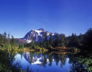N. A. USA, Washington, Mt. Baker & Snoqualmie NF, Mt. Shuksan Reflected in Picture Lake