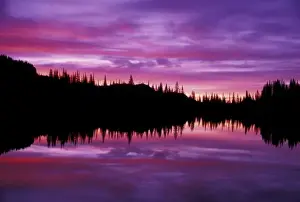 N. A. USA, Washington, Mt. Rainier National Park; Sunrise at Reflection Lake