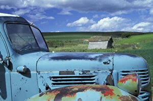 Images Dated 1st September 2003: N. A. USA, Washington, Pullman Abandoned truck in field