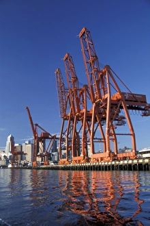 Industrial Prints: N. A. USA, Washington, Seattle. Cranes at Port of Seattle
