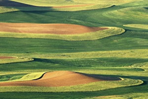 Images Dated 15th March 2004: N. A. USA, Washington, Whitman County. Patterns of wheat and fallow from Steptoe Butte
