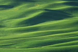 Images Dated 15th March 2004: N. A. USA, Washington, Whitman County. Rolling hills of wheat from Steptoe Butte