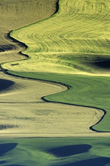 Images Dated 15th March 2004: N. A. USA, Washington, Whitman County. Patterns of wheat and fallow from Steptoe Butte