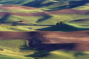 Images Dated 15th March 2004: N. A. USA, Washington, Whitman County. Patterns of wheat and fallow from Steptoe Butte