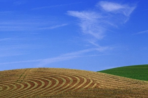 Images Dated 15th March 2004: N. A. USA, Washington, Whitman County. Cut hayfield and wheat in the Palouse