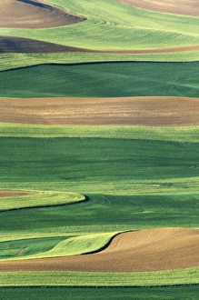 N. A. USA, Washington, Whitman County