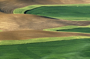 N. A. USA, Washington, Whitman County
