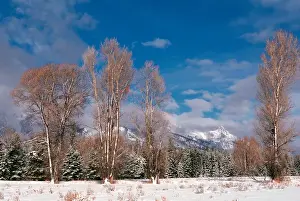 N. A. USA, Wyoming, Grand Teton Nat l Park Grand Tetons