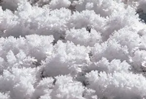 N. A. USA, Wyoming, Oxbow Bend Grand Teton National Park Ice Crystals