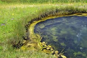 Images Dated 14th April 2004: N. A. USA, Wyoming. Yellowstone National Park. Geyser pool