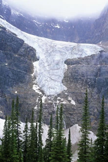 N.A. Canada, Alberta, Jasper NP, Angel Glacier