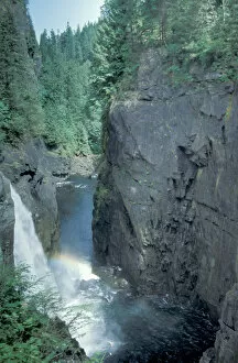 Images Dated 5th January 2005: NA, Canada, BC, Vancouver Island, Elk Falls (on the Campbell river)