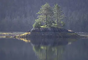 NA, Canada, British Columbia, Queen Charlotte Islands Landscape