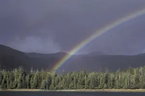 Images Dated 19th March 2004: NA, Canada, British Columbia, Queen Charlotte Islands Landscape