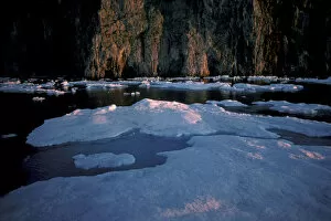 Images Dated 9th October 2006: NA, Canada, Canadian Arctic, Baffin Island