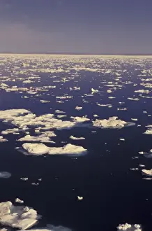 Strait Prints: NA, Canada, Canadian Arctic, Baffin Island 2nd year ice melting (global warming)