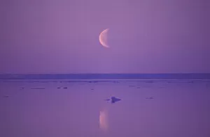 Images Dated 5th December 2003: NA, Canada, Canadian Arctic, Baffin Island Moonrise, Foxe Basin