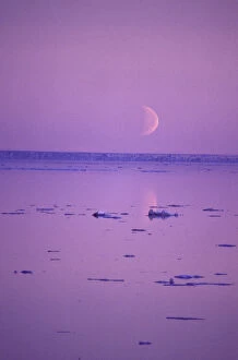 Images Dated 5th December 2003: NA, Canada, Canadian Arctic, Baffin Island Moonrise, Foxe Basin