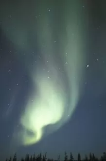 Images Dated 13th May 2004: NA, Canada, Manitoba, Churchill Northern lights, aurora borealis